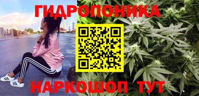 PSILOCYBIN Лесосибирск