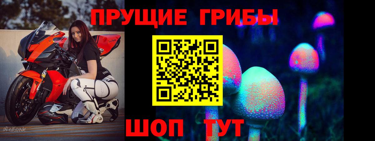 Соль-Илецк  Псилоцибиновые грибы мухоморы  Вход с VPN 